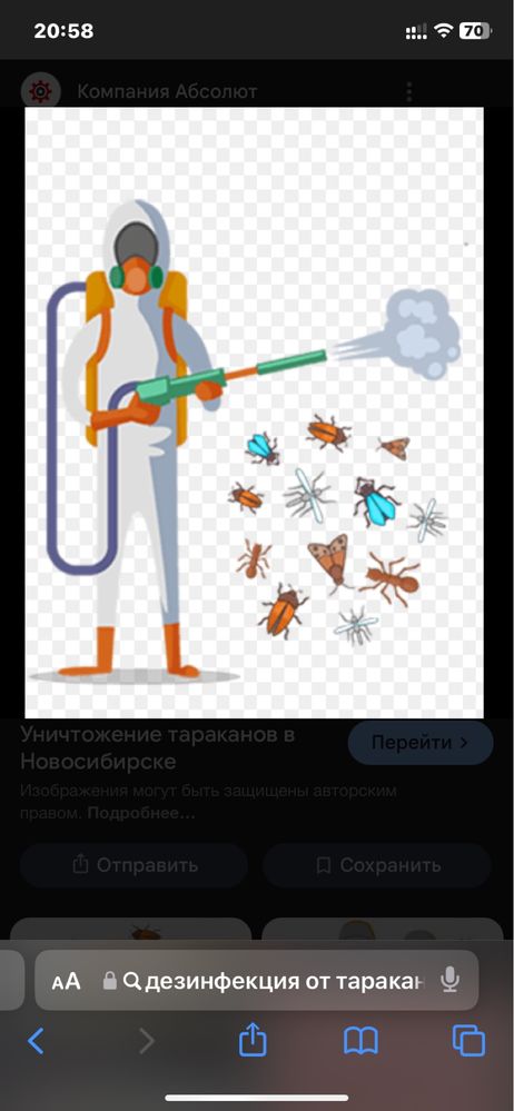 Дезинфекция, Уничтожения тараканов клешей клопов мышей и т.д.