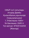 СИЫР сүті сатылады Атырау Дамбы Қызылбалық ауылында