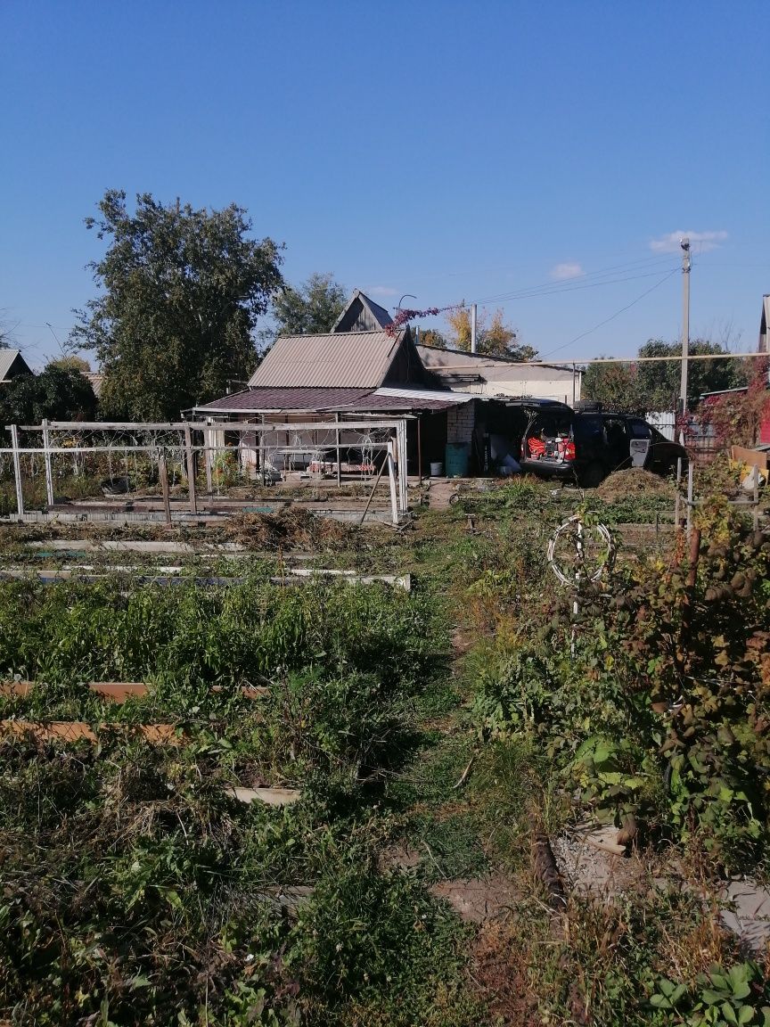 Продам дачу на кривом озерое.