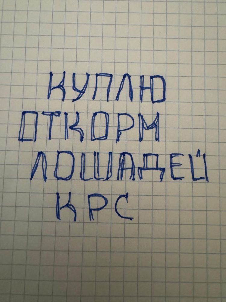 Лошадей с откорма или с поля жирных