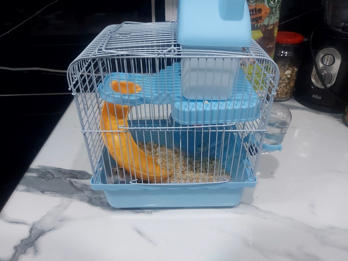 Хомяки с клеткой