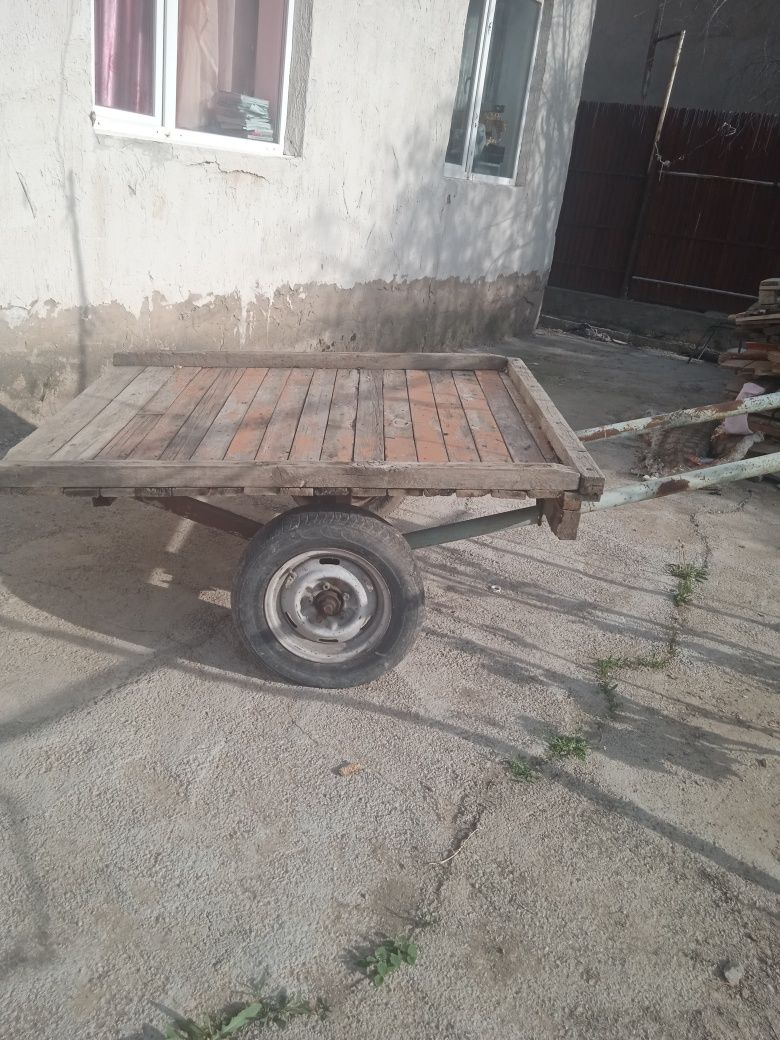 Есек сатылады Продается осель