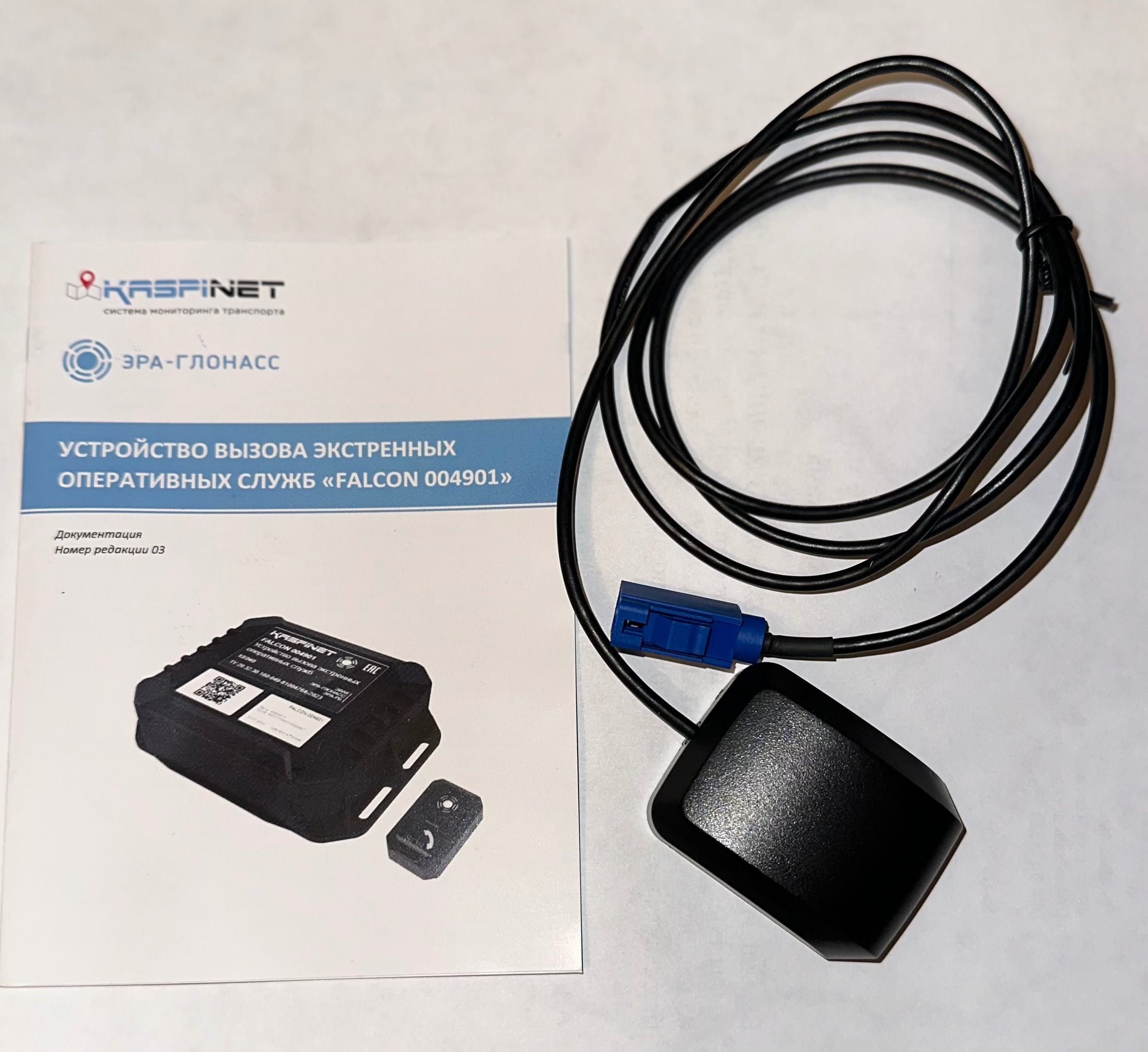 Kaspinet Falkon 004901