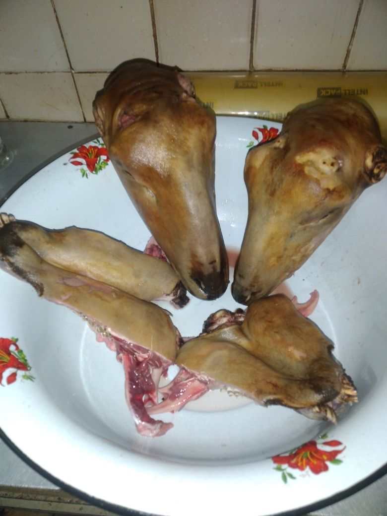 Үйтілген бас(қойдын,ешкінің),голова барана
