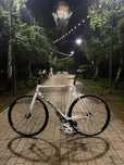 Продается Fixie gear tsunami snm100