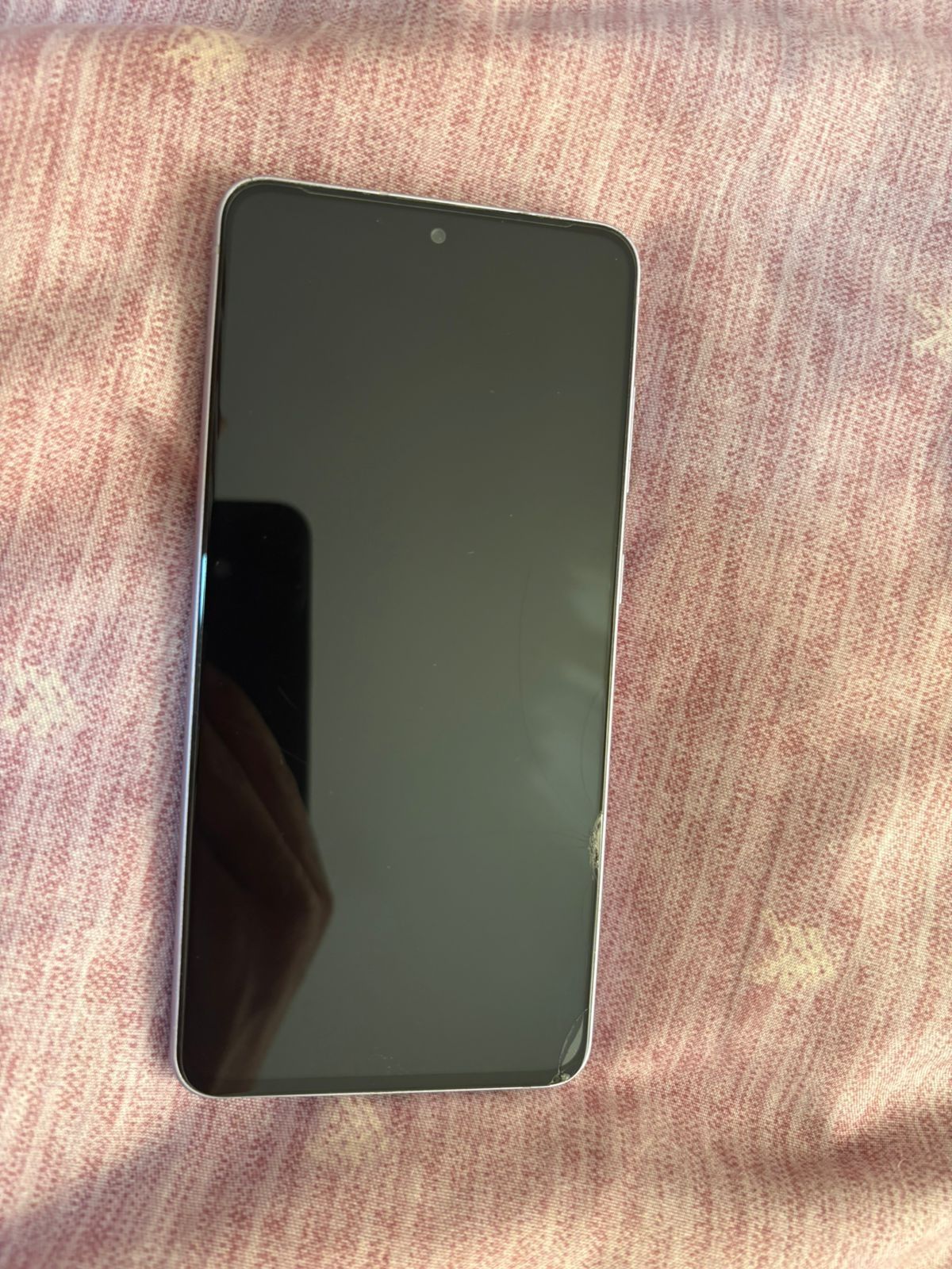 Samsung S21 FE 128gb
