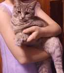 Самая милая кошечка.