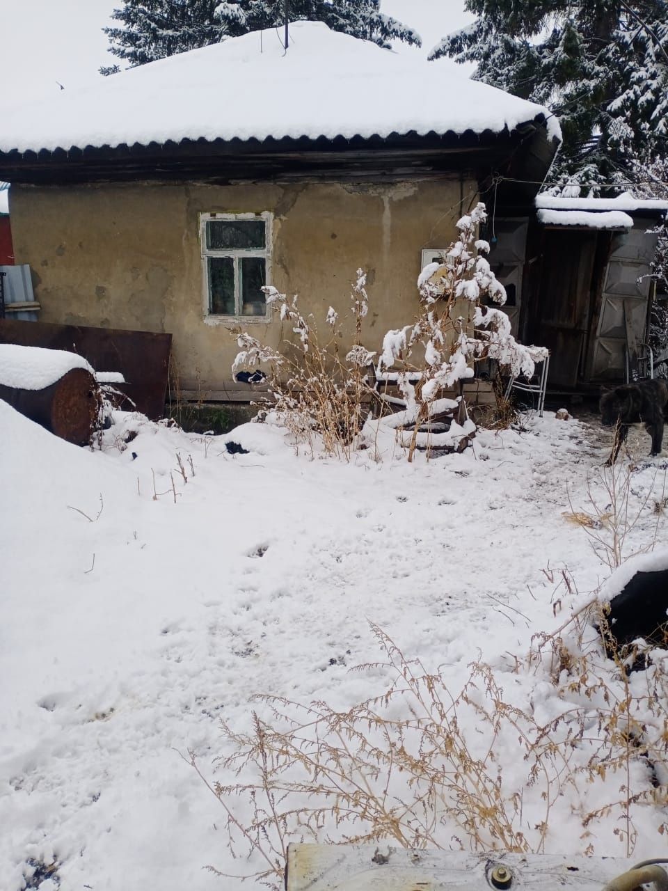 Продам участок с домом в старой Согре