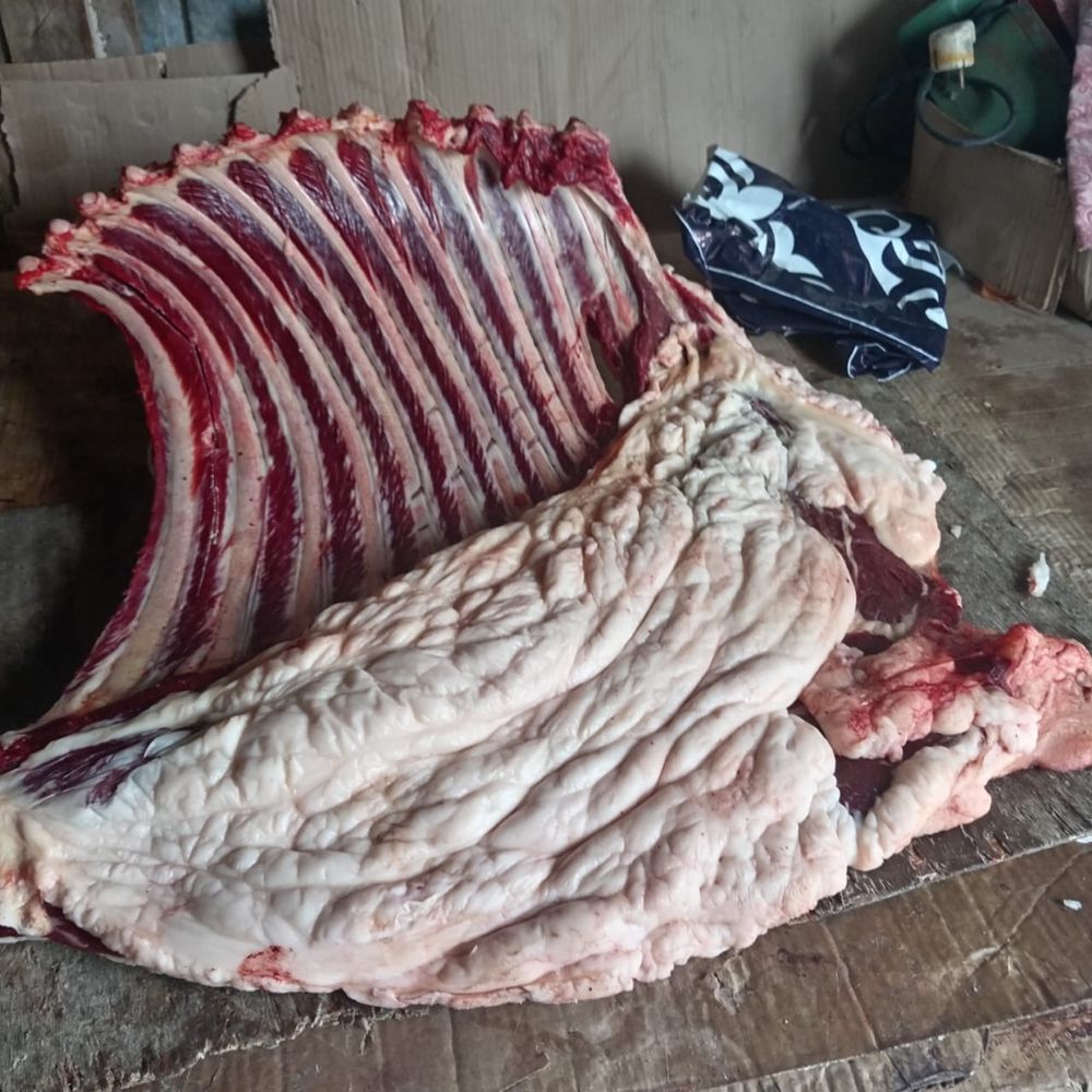 Продам мясо конина