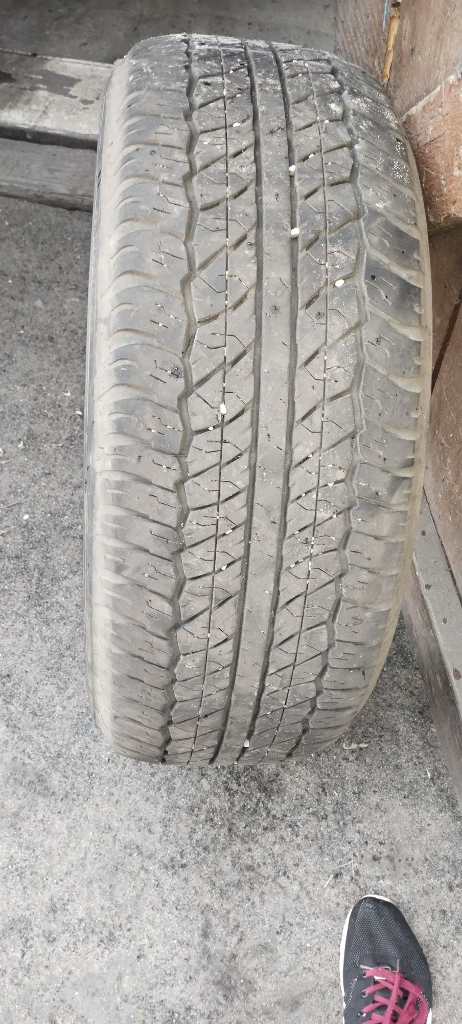 Шины Dunlop пара недорого