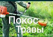 Скошу траву триммером.