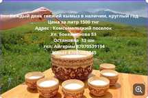 Саумал и кымыз. Сама дою. Район Компоса