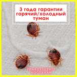 Уничтожить КЛОПОВ