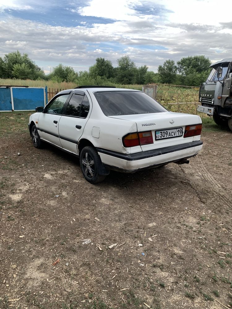 Ниссан примьра р10