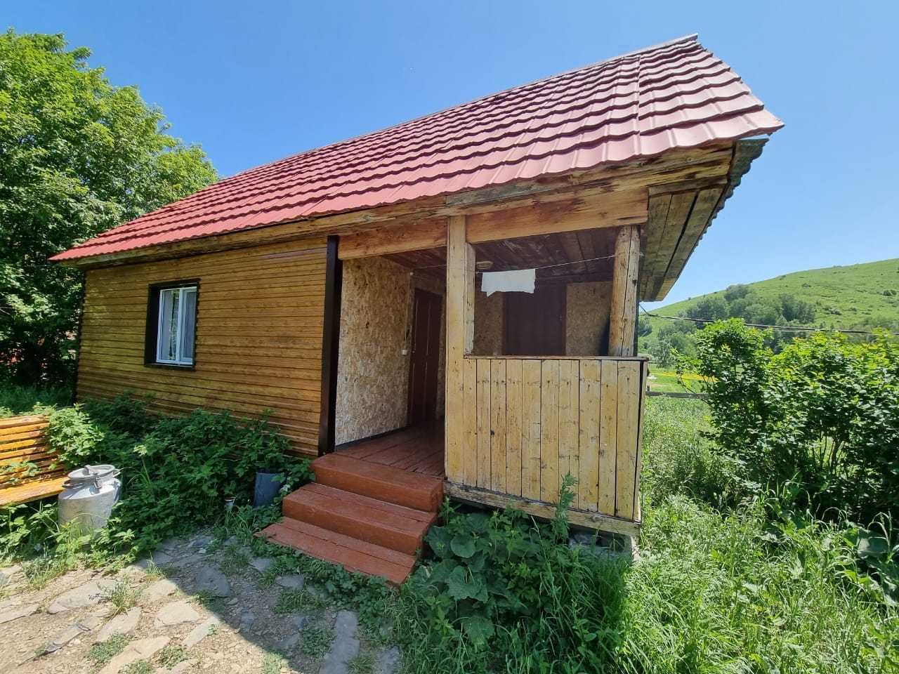 Пантолечебница, крестьянское хозяйство  Катон-Карагайский район