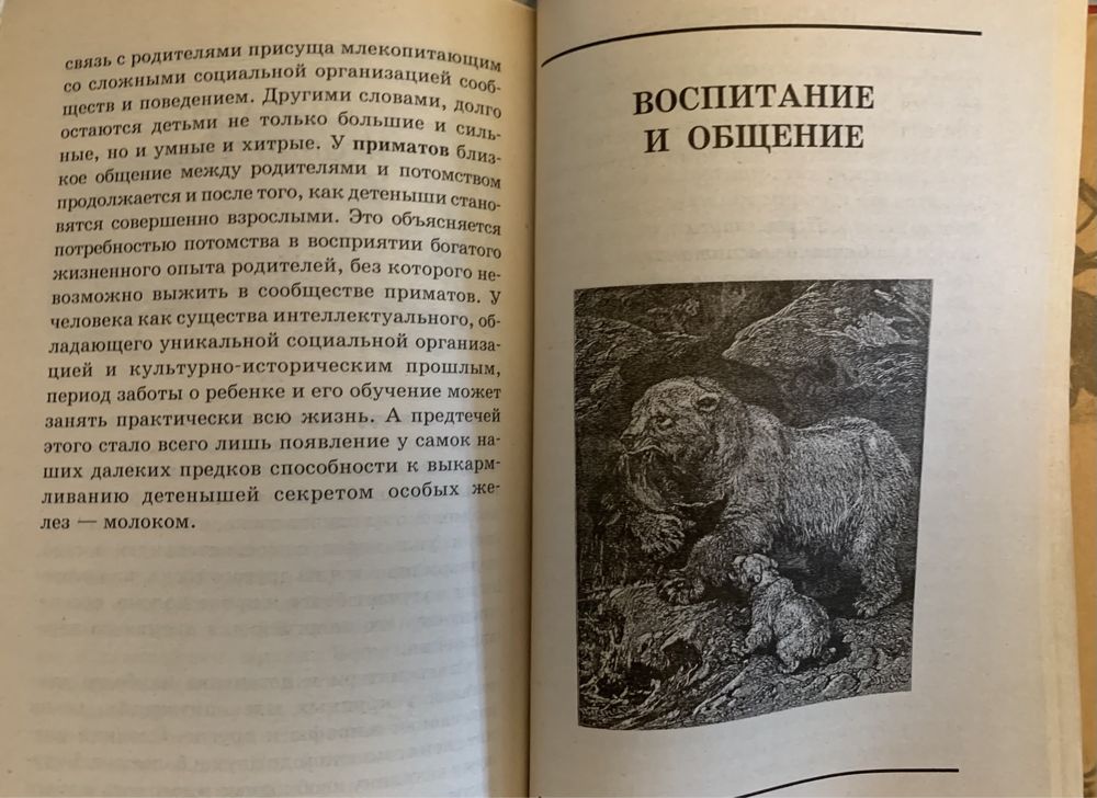 Я познаю мир ,, Любовь у животных ‘’