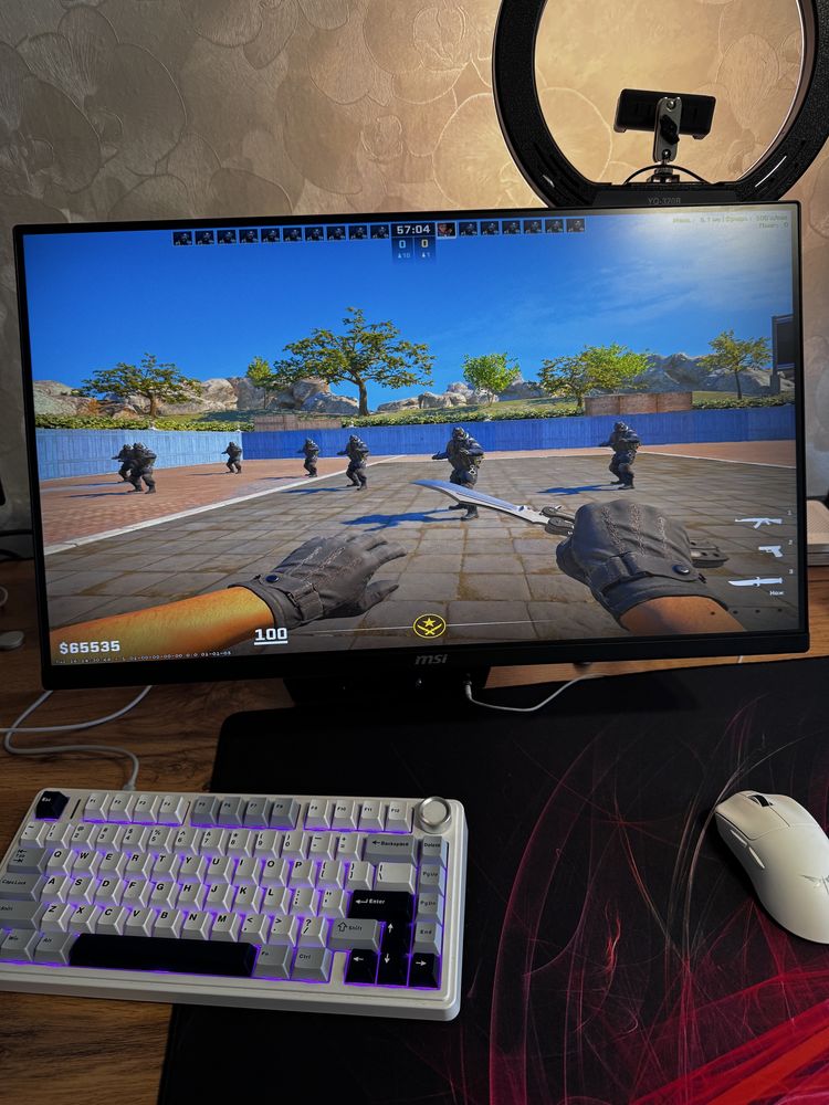 Монитор 300 герц , 24.5" MSI MAG255XF