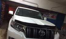 Мухобойка на Toyota Land Cruiser Prado 2017+
