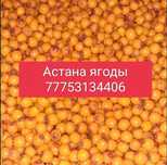 Облепиха Облепиха
