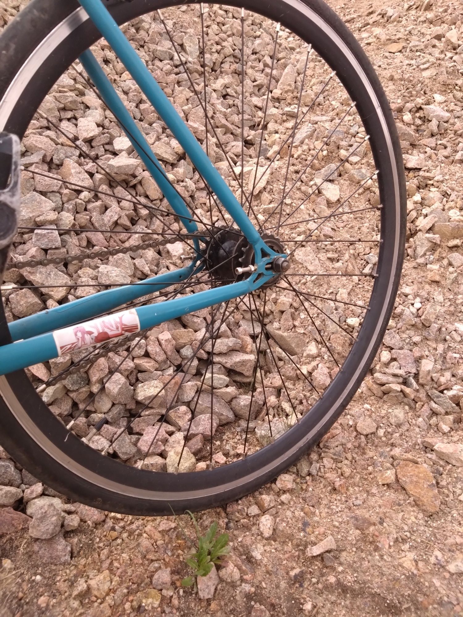 Fixed gear  REID