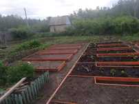 Продам дачу Новопавловка  энергетик 2