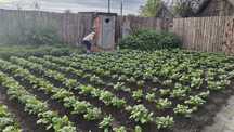 Дом с мансардой продам