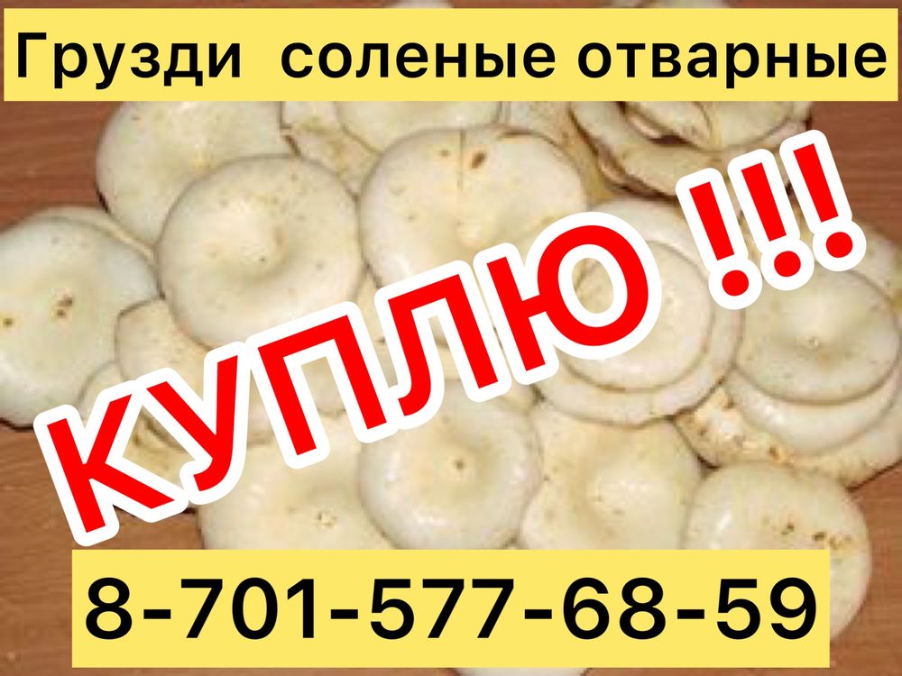 Грузди соленые отварные
