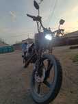 Racer Tiger 2020г.
