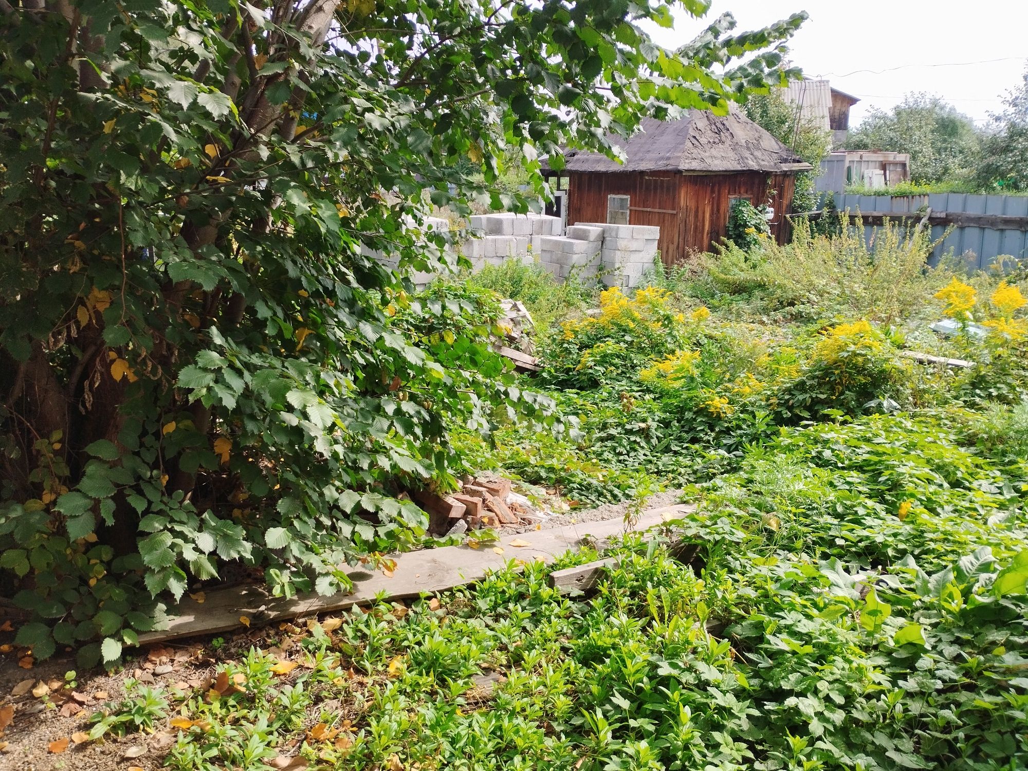 Срочно продам участок  р.Мирный