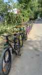 Biwec rock line pro dert mtb