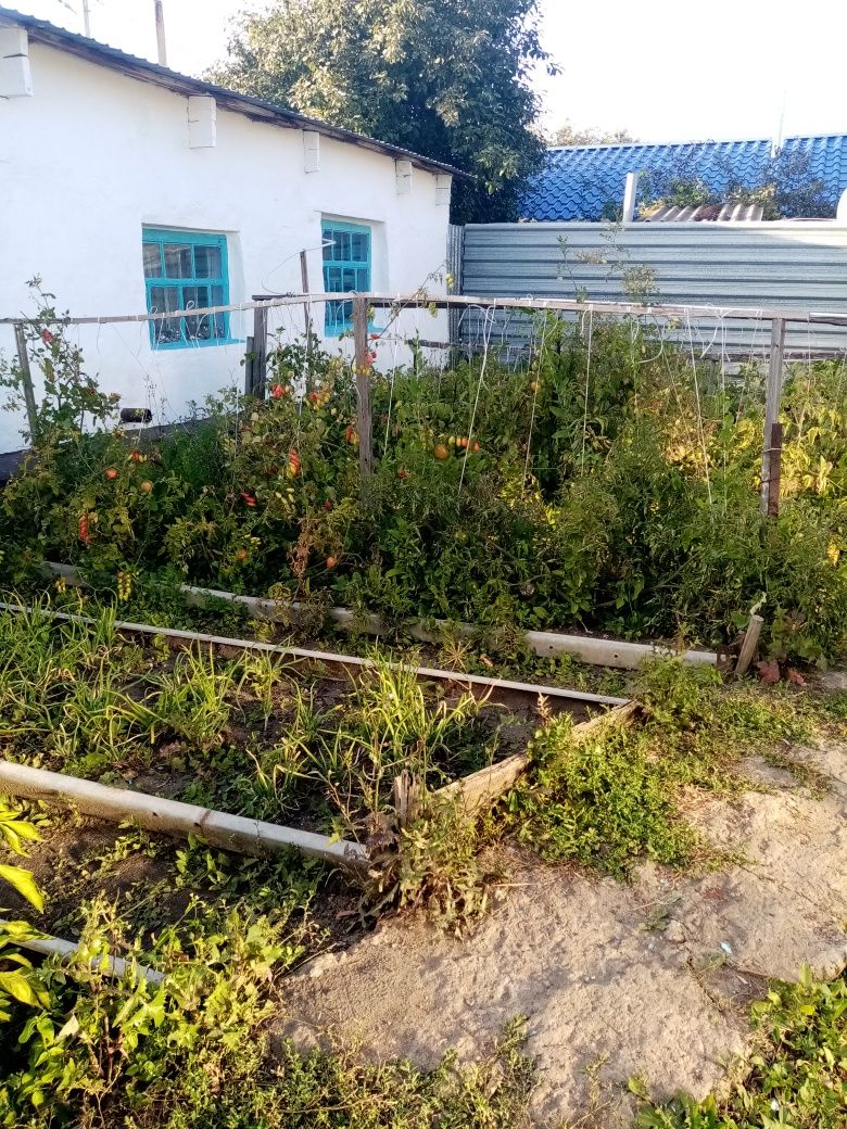 Продам отдельностоящий дом.