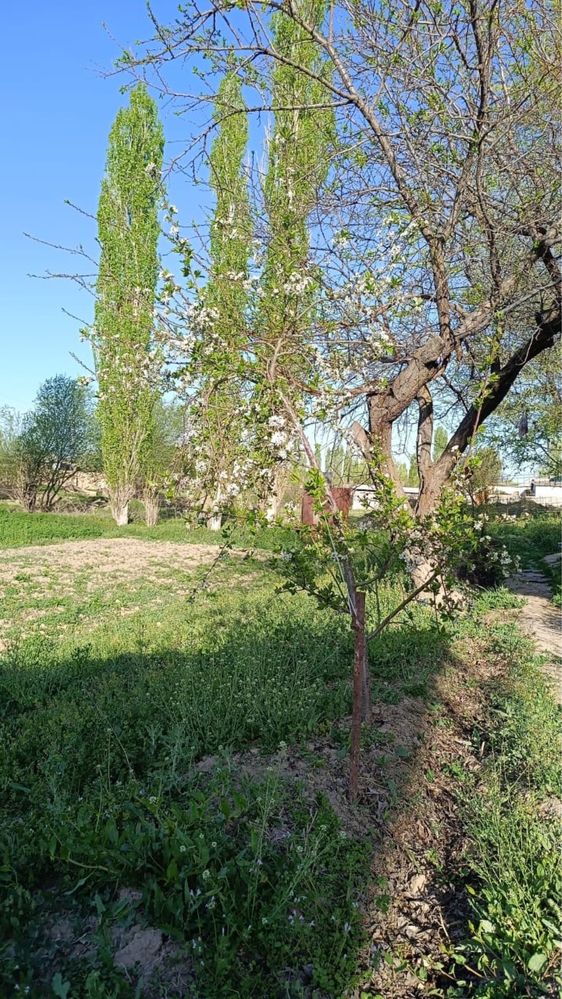 СРОЧНО. Внимание. Продам дом