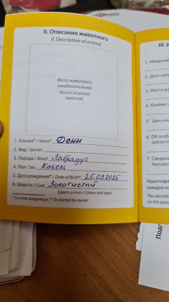Продам лабрадора