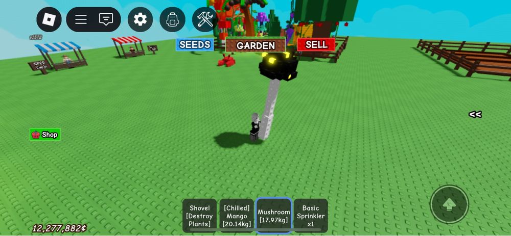 2 фруктов из игры grow a garden
