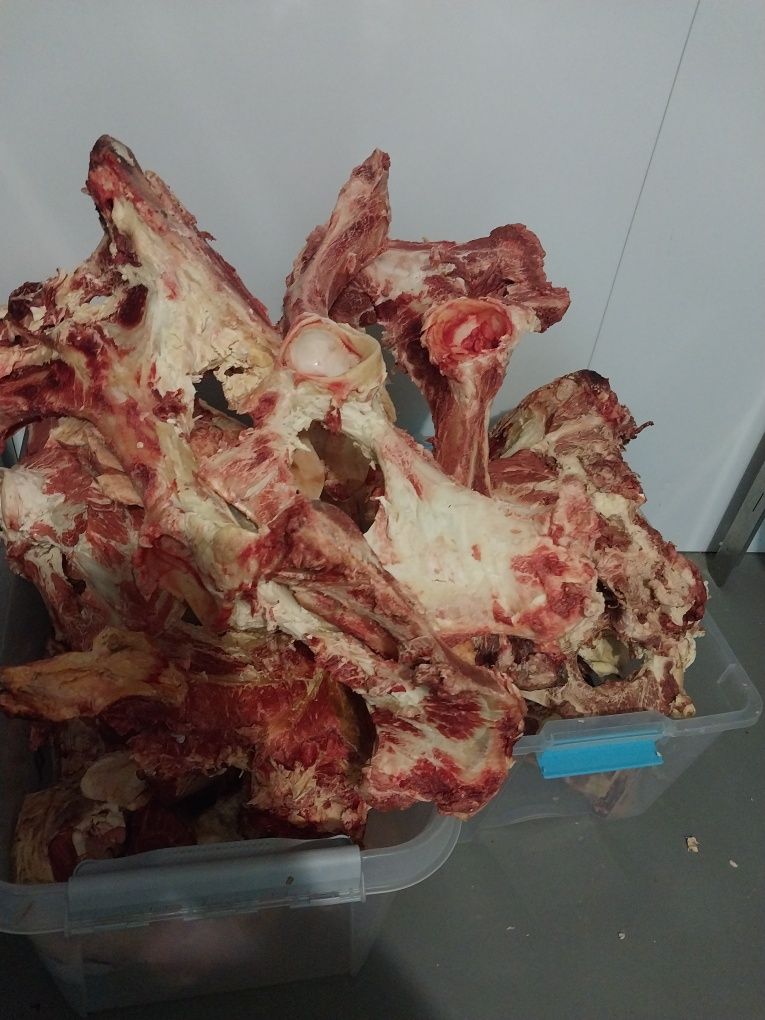 Кости для собака. обрезка