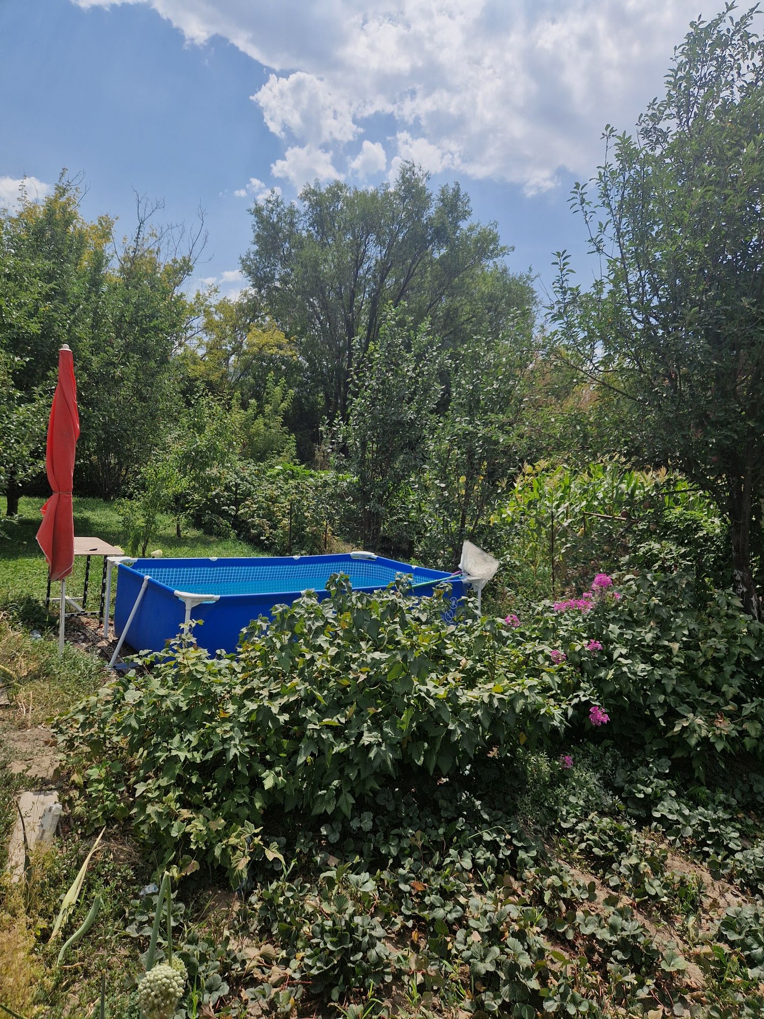 Продается Магазин с домом
