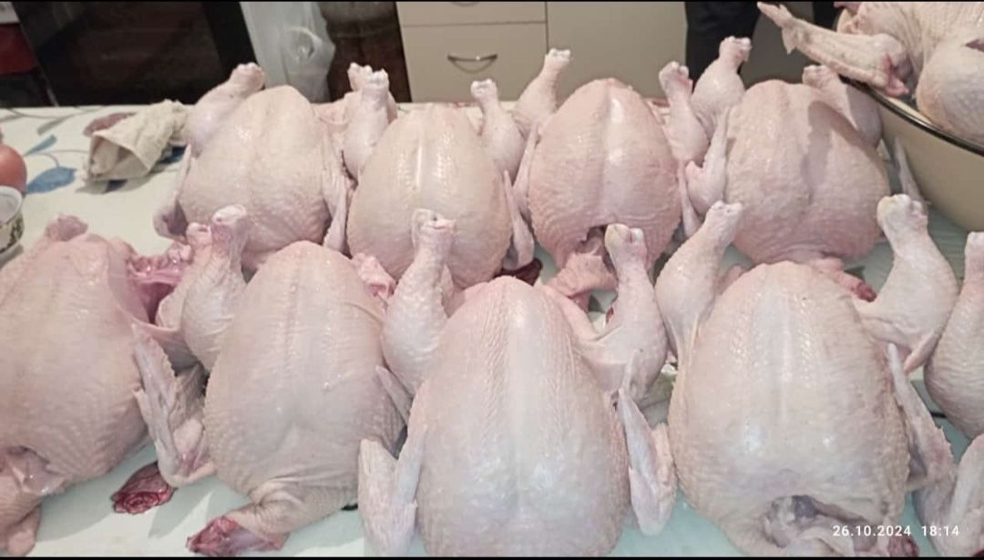 Продаются мясо бройлеров