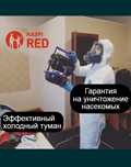 Обработка против тараканов клопов доугих насекомых kaspi red