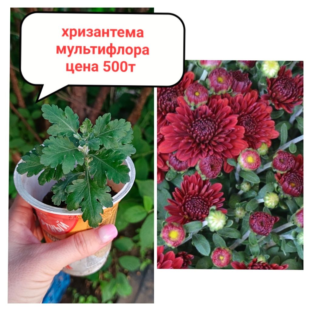 Акция!!! СКИДКА -10% при покупке от 3 штук!