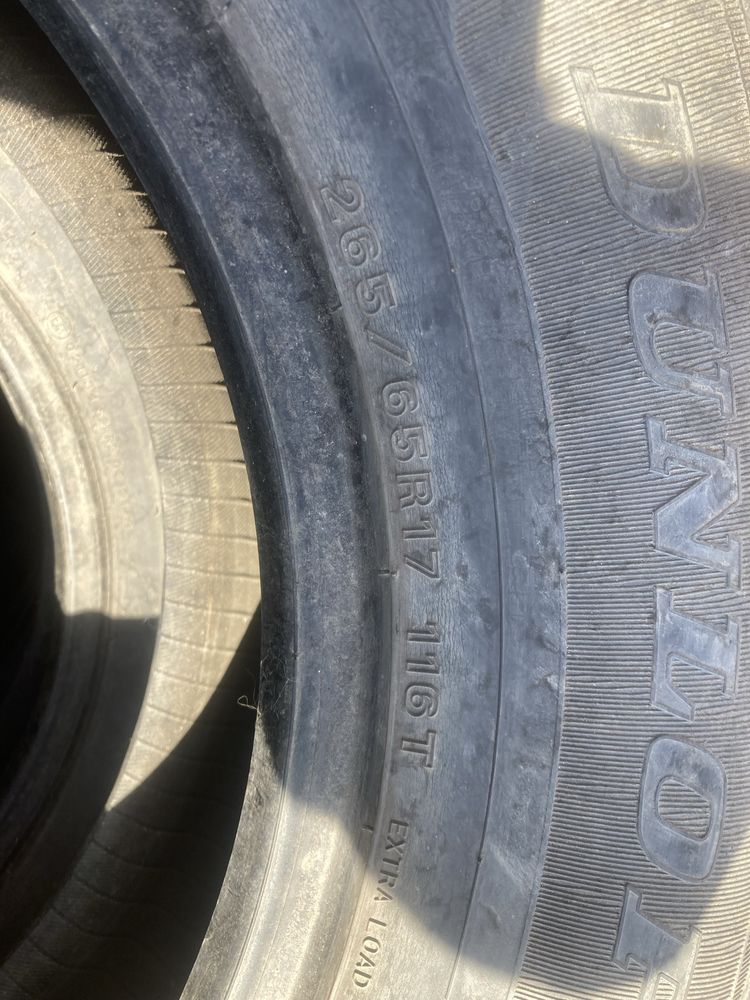 Продам ризину R17