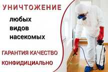 Дезинсекция дезинфекция уничтожение насекомых