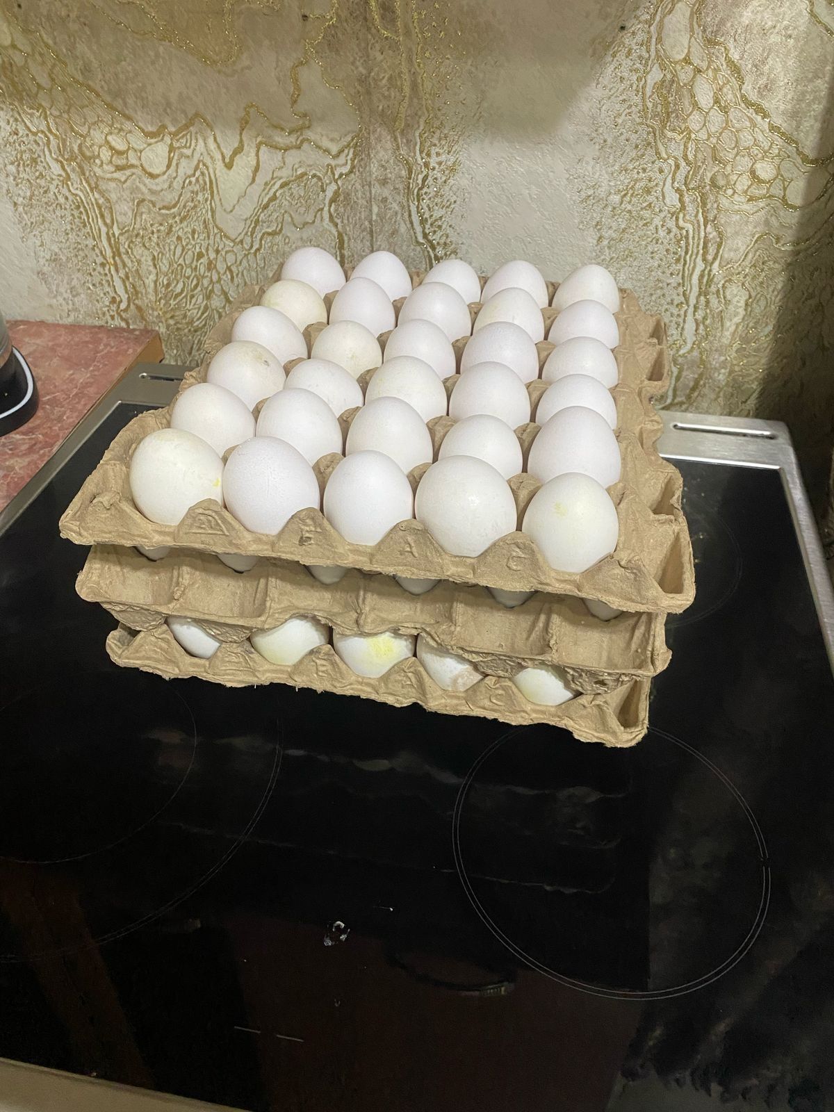 Куры поросята доставка