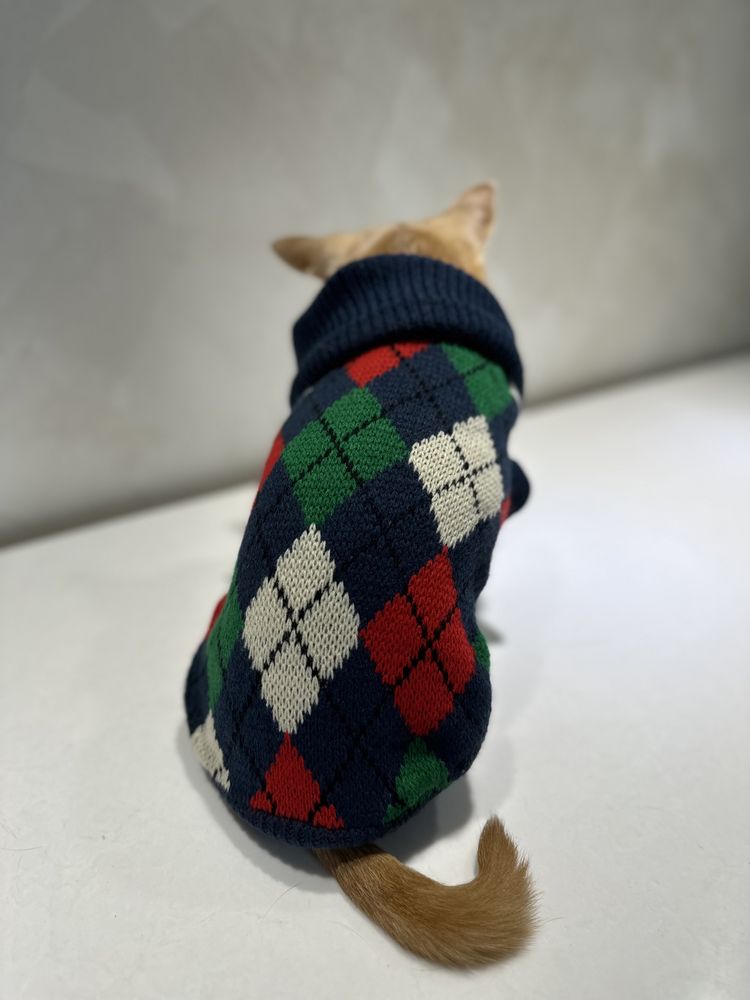 Новый свитер на собак и кошек