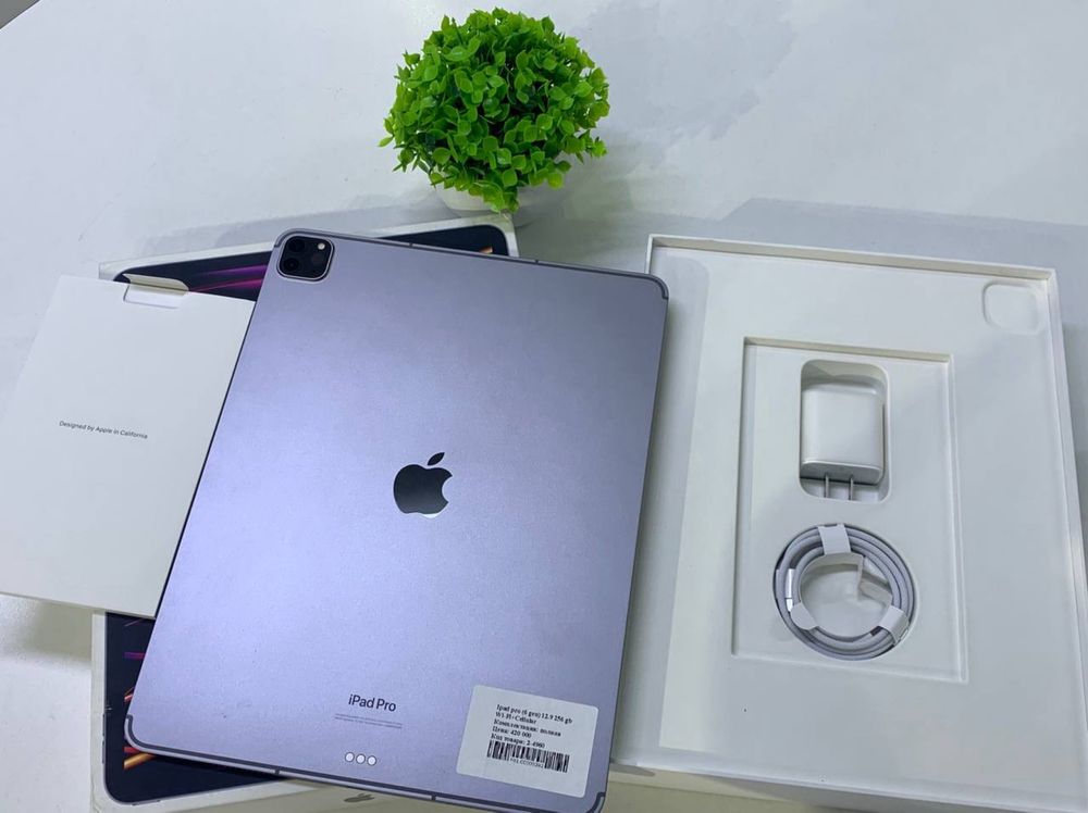 Ipad pro (6 gen) M2 256 gb12.9