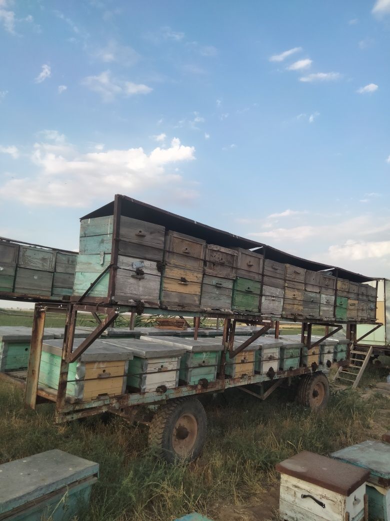 Продам 2 павильон