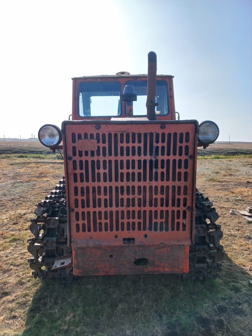 Алтайец сатылады