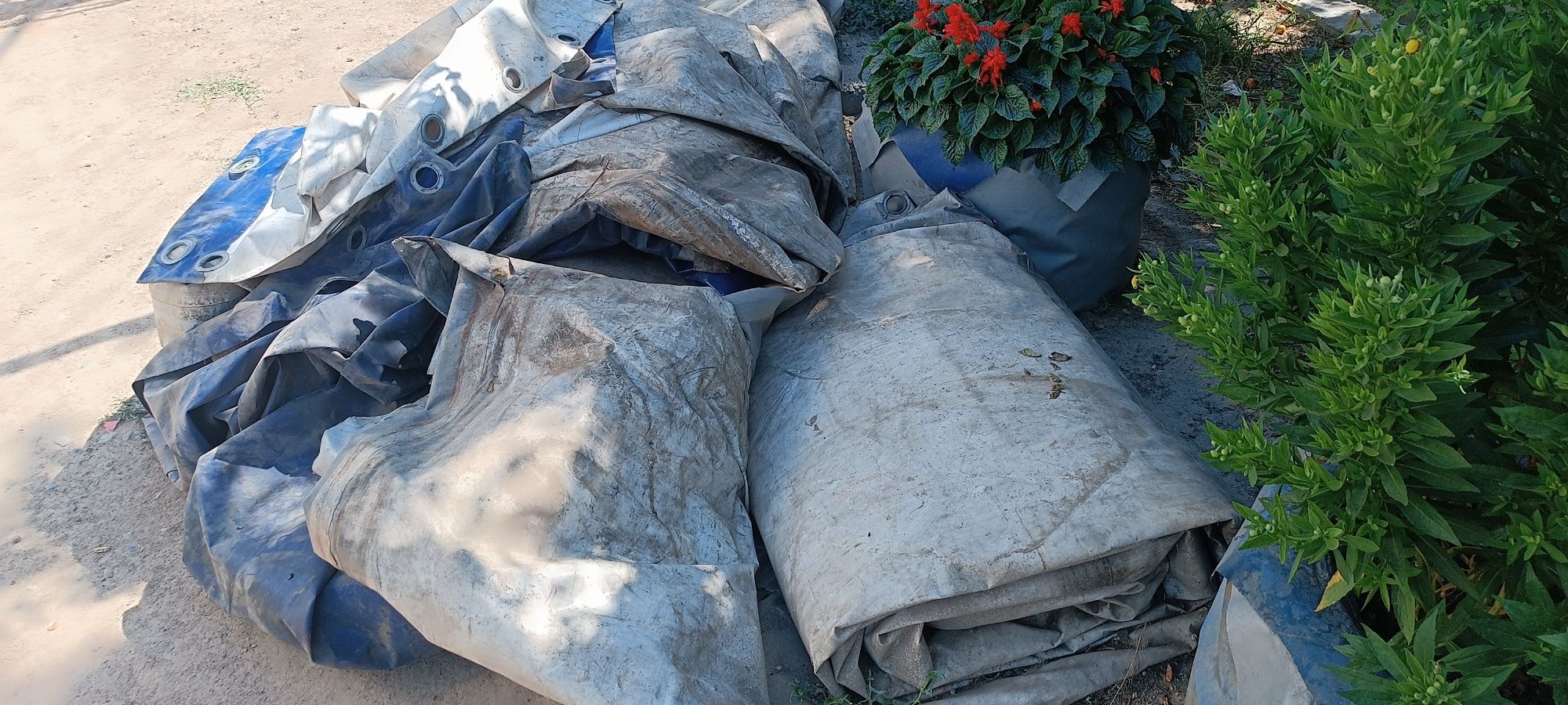 Продам б/у палатки  для сено кукурузы и.т.д