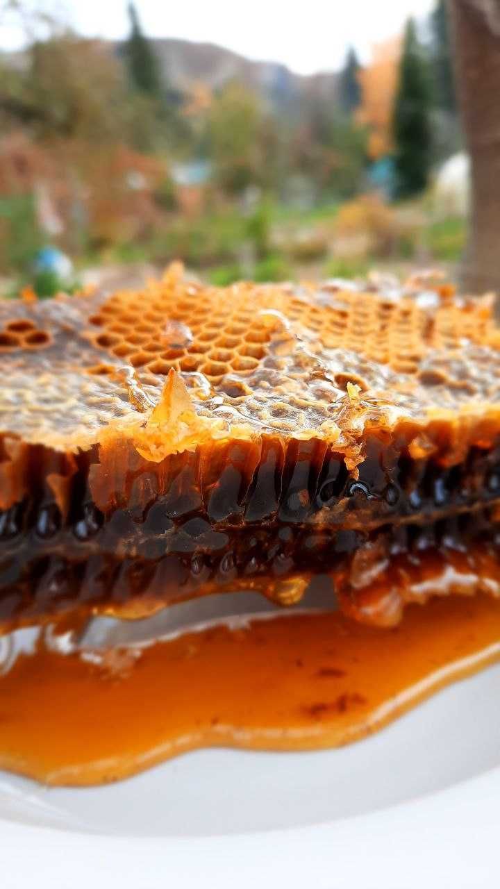 МЁД ГОРНОЕ РАЗНОТРАВЬЕ (домашняя пасека) для Усть-Каменогорска