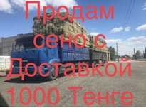 Продам   Сено в тюках
