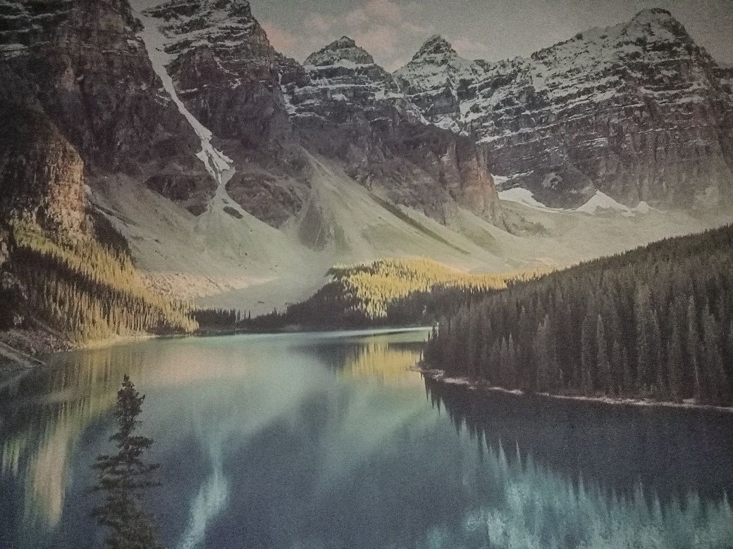 постер/картина 150x50 см